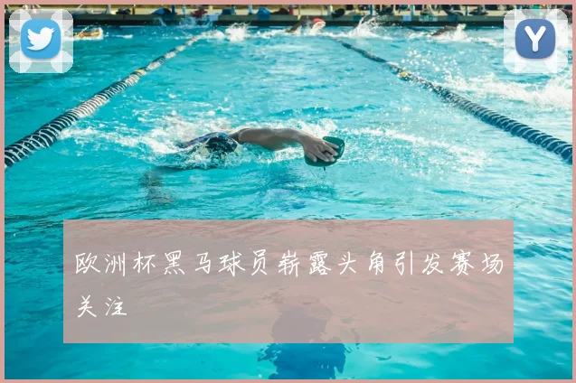 欧洲杯黑马球员崭露头角引发赛场关注