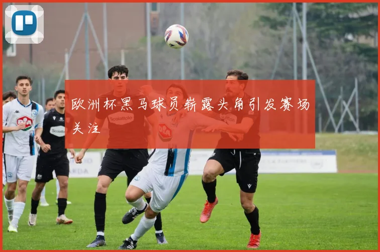 欧洲杯黑马球员崭露头角引发赛场关注