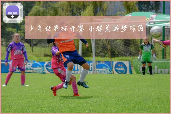 少年世界杯开赛 小球员逐梦绿茵