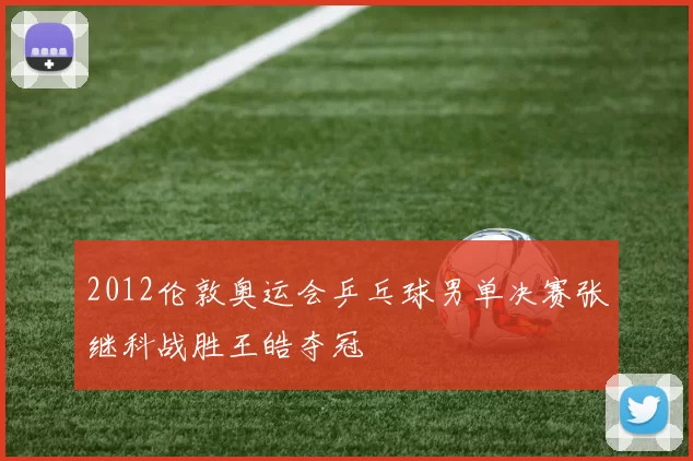 2012伦敦奥运会乒乓球男单决赛张继科战胜王皓夺冠