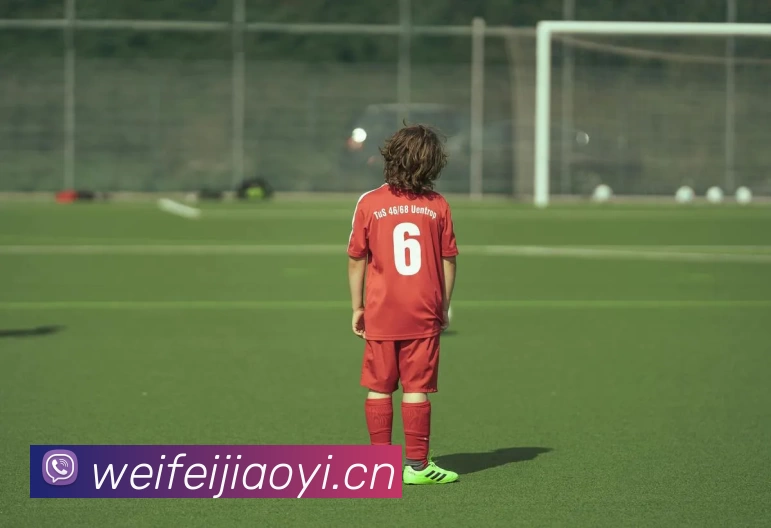 开云·kaiyun体育(中国)官方网站 - 登录入口平台生态图